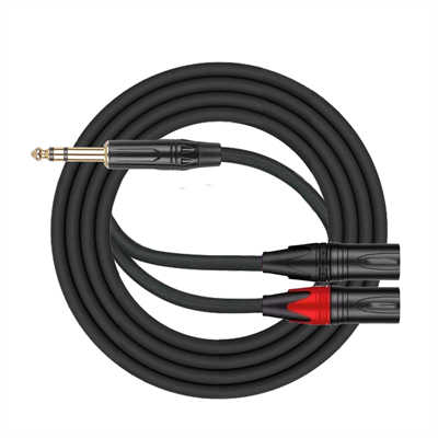 6.35mm TRS to Dual XLR Adapter Cable