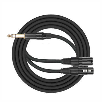 6.35mm TRS to Dual XLR Adapter Cable